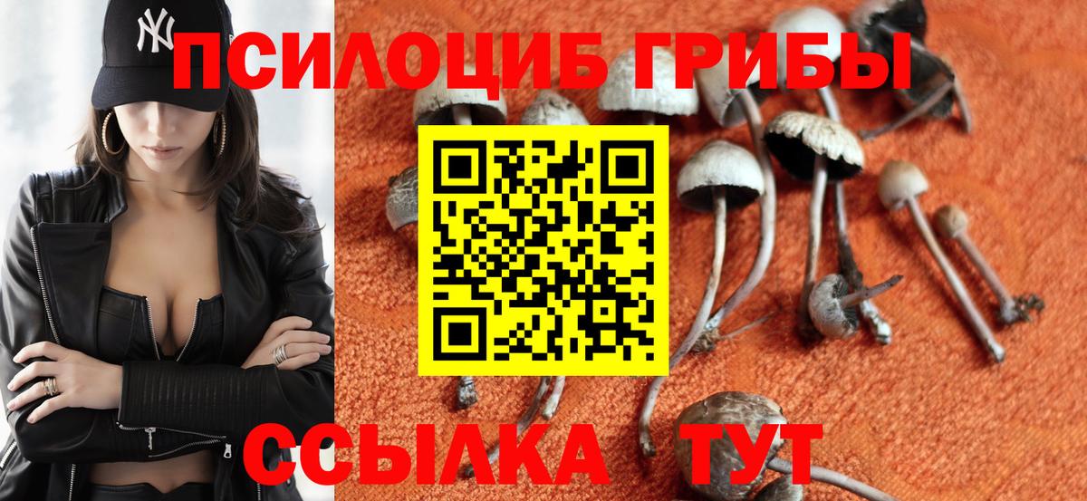 Камышлов  Псилоцибиновые грибы MAGIC MUSHROOMS  Псилоцибиновые грибы Cubensis  Вход с VPN 