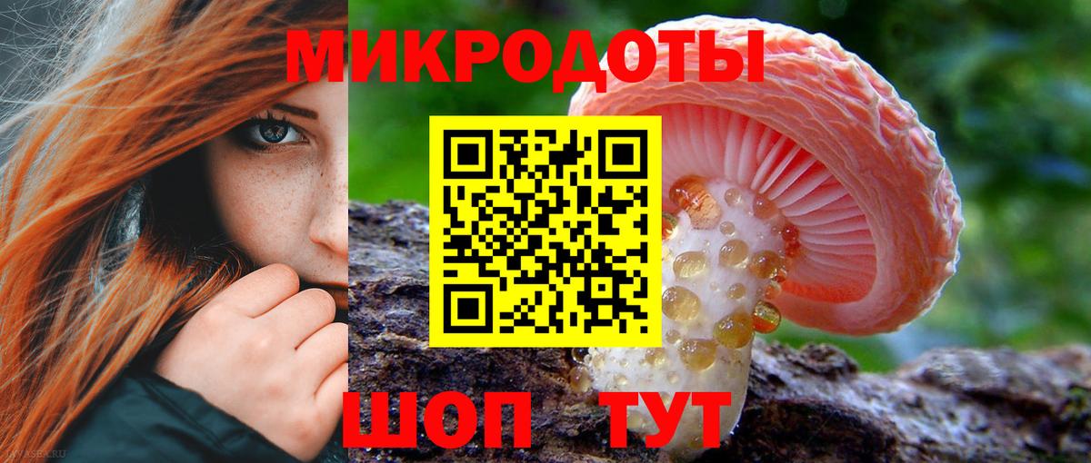 Галлюциногенные грибы ЛСД Камышлов